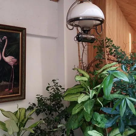 Hotel Flamingo